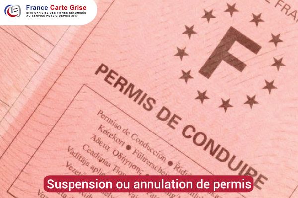 Suspension ou annulation de permis : les démarches à suivre