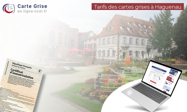 Carte Grise Haguenau