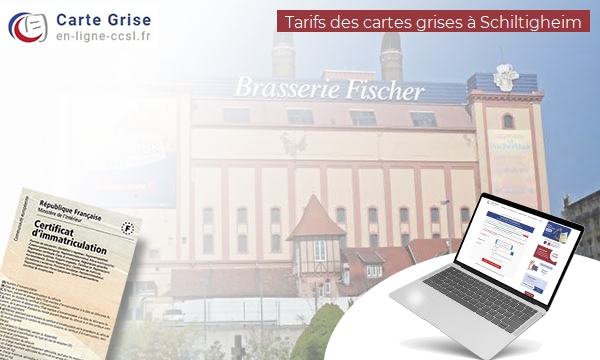 Carte Grise Schiltigheim